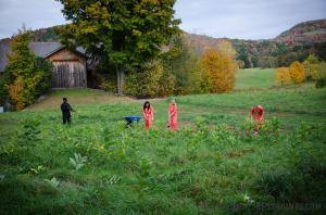 Original 1200 px/ 795 px