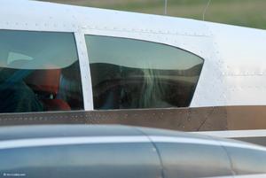 Original 1000 px/ 669 px