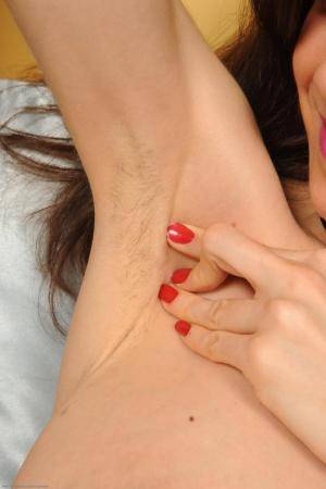 Original 682 px/ 1024 px