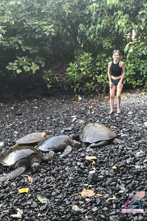 Original 2000 px/ 3000 px