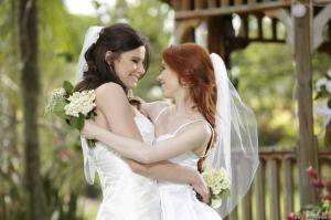 Original 2495 px/ 1663 px