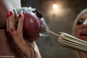 Original 1200 px/ 803 px