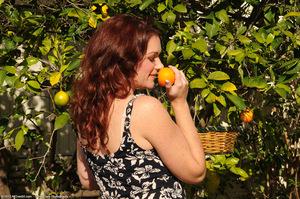 Original 1536 px/ 1020 px