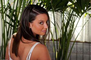 Original 1280 px/ 854 px