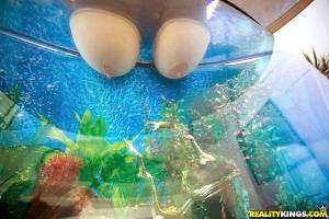 Original 900 px/ 600 px