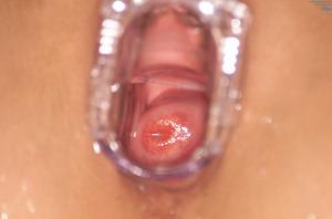 Original 3040 px/ 2008 px