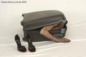 Original 800 px/ 531 px