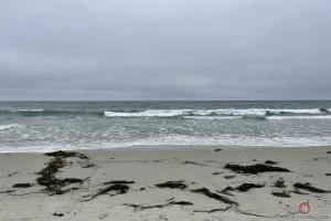 Original 3000 px/ 2000 px