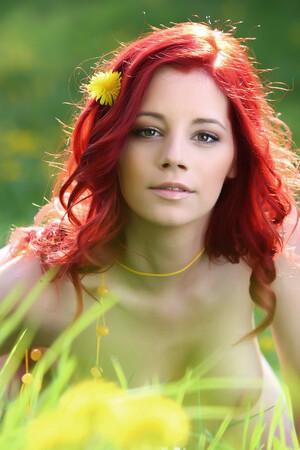 Original 1365 px/ 2048 px