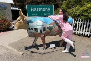 Original 5000 px/ 3333 px