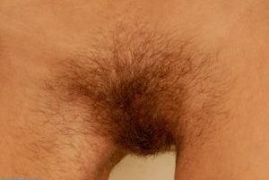 Original 1536 px/ 1028 px