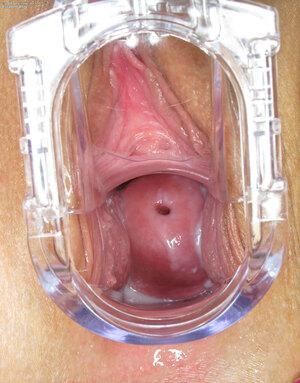 Original 1800 px/ 2300 px