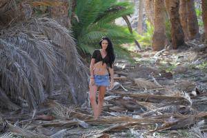 Original 4324 px/ 2883 px