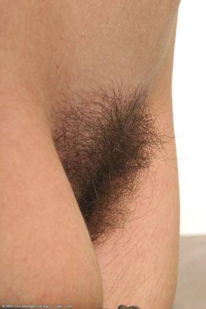 Original 682 px/ 1024 px