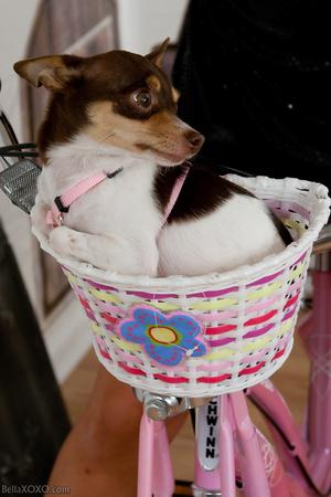 Original 1067 px/ 1600 px