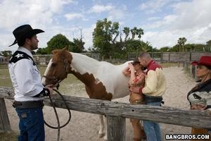 Original 800 px/ 533 px