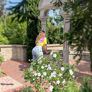 Original 666 px/ 666 px