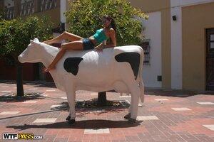 Original 1600 px/ 1067 px