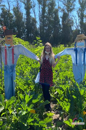 Original 2000 px/ 3000 px