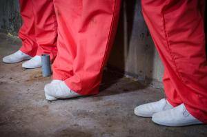 Original 1200 px/ 796 px