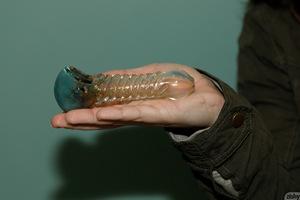 Original 1920 px/ 1280 px