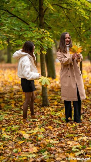 Original 3376 px/ 6000 px