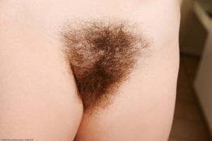 Original 1536 px/ 1022 px