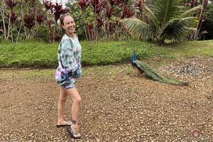 Original 3000 px/ 2000 px