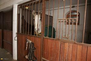 Original 1680 px/ 1120 px