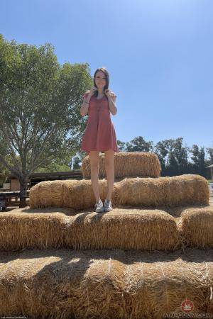 Original 2000 px/ 3000 px