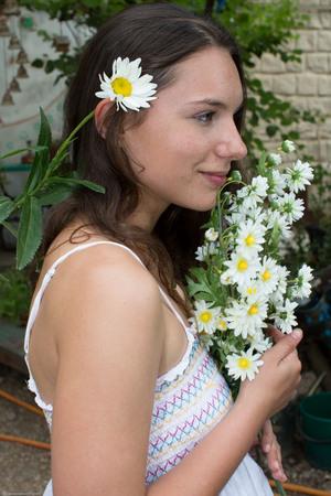 Original 2000 px/ 3000 px