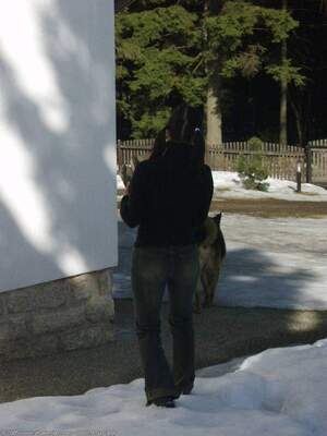 Original 1200 px/ 1600 px