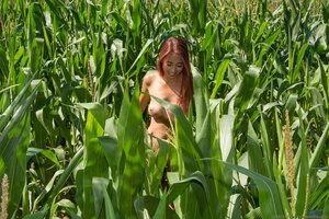 Original 2700 px/ 1800 px