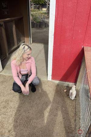 Original 2000 px/ 3000 px