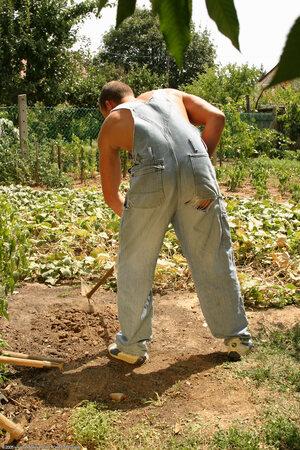 Original 1024 px/ 1536 px