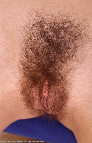 Original 664 px/ 1024 px