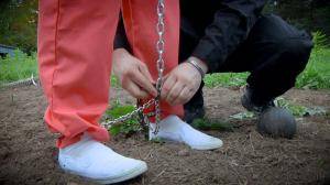 Original 1200 px/ 675 px