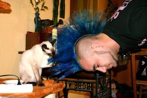 Original 1536 px/ 1024 px