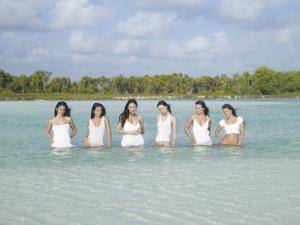 Original 6000 px/ 4500 px