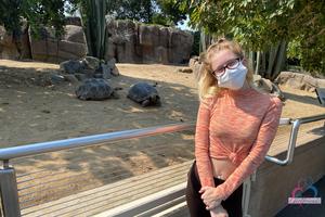 Original 3000 px/ 2000 px