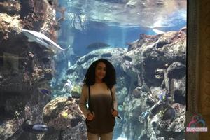 Original 3000 px/ 2000 px