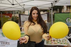 Original 1920 px/ 1280 px