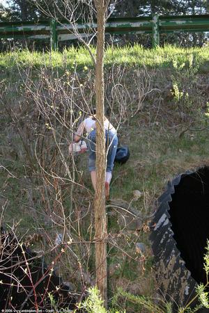 Original 682 px/ 1024 px