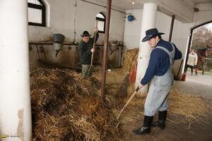 Original 1680 px/ 1120 px