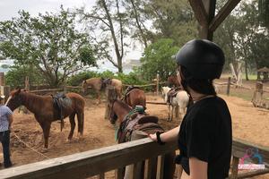 Original 3000 px/ 2000 px