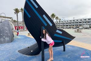 Original 5000 px/ 3333 px