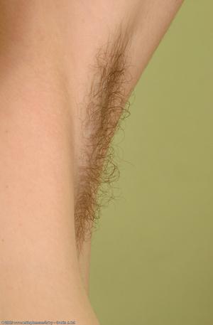 Original 672 px/ 1024 px