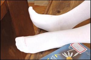 Original 1617 px/ 1074 px