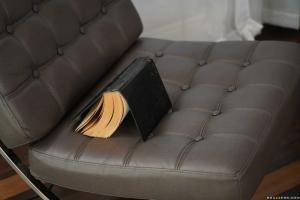 Original 2493 px/ 1663 px