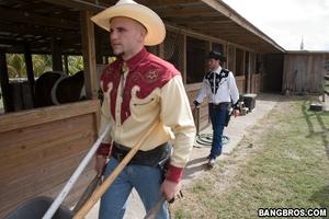 Original 800 px/ 533 px